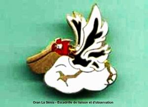 Aviation Oran - La Senia-escadrille liaison et observation 04-45